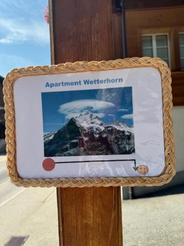 Wetterhorn * Grindelwald